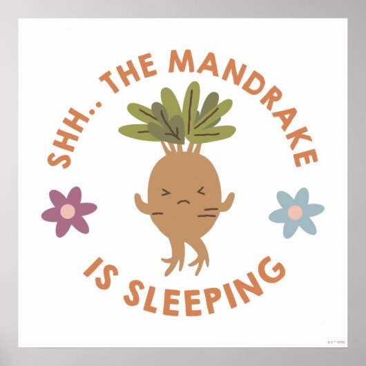 Shh.. De Mandrake slaapt Poster (Voorkant)