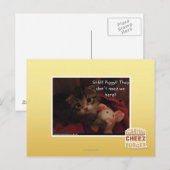 Shh!! Piggy! Briefkaart (Voorkant / Achterkant)