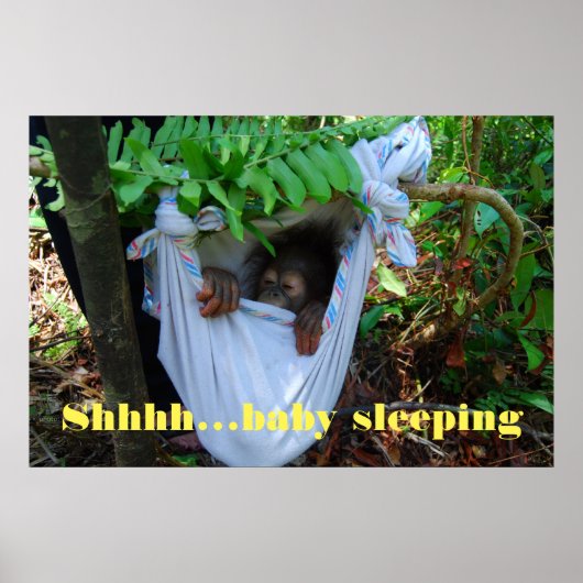 Shhh Baby Sleeping Poster (Voorkant)