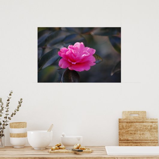 Shi Shi Camellia Poster (Keuken)