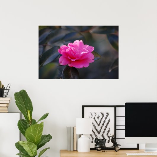 Shi Shi Camellia Poster (Thuiskantoor)
