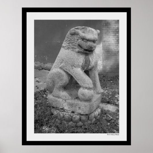 Shi Zi Print (Voorkant)