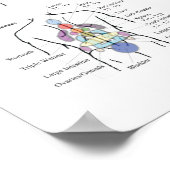 Shiatsu Acupuncture Meridians en Hara Diagnosis Poster (Hoek)