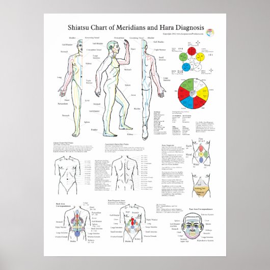 Shiatsu Acupuncture Meridians en Hara Diagnosis Poster (Voorkant)