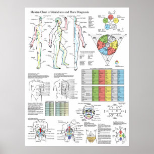 Shiatsu Acupunctuur Meridians Hara Diagnosis Chart Poster