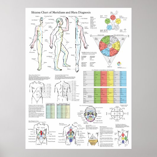 Shiatsu Acupunctuur Meridians Hara Diagnosis Chart Poster (Voorkant)