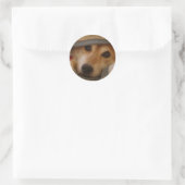 Shiba in een deken Sticker (Tas)