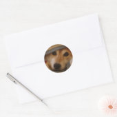 Shiba in een deken Sticker (Envelop)