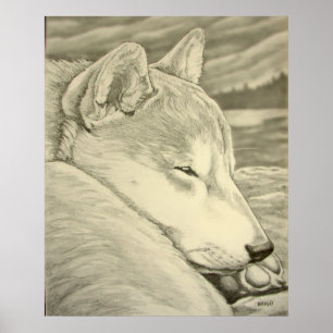 Shiba Inu Art Poster Dog Art Poster Shiba Inu Gift