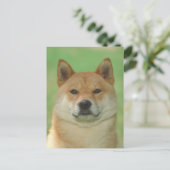 Shiba Inu Briefkaart (Staand voorkant)