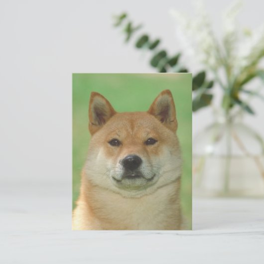 Shiba Inu Briefkaart (Staand voorkant)