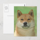 Shiba Inu Briefkaart (Voorkant / Achterkant)