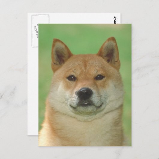 Shiba Inu Briefkaart (Voorkant / Achterkant)