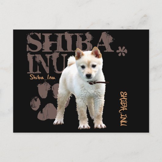 Shiba Inu Briefkaart (Voorkant)