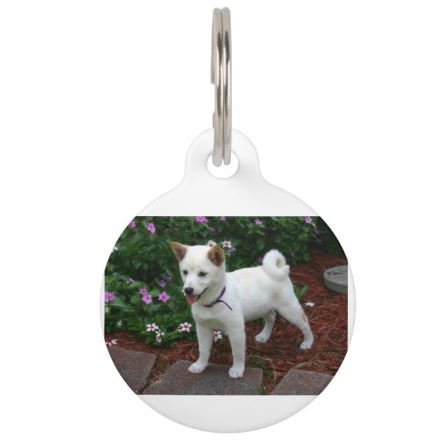 shiba-inu-crème huisdierpenning (Voorkant)