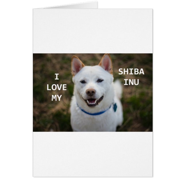 shiba-inu-crème liefde met pic (Voorkant)