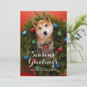 Shiba Inu dog (Staand voorkant)