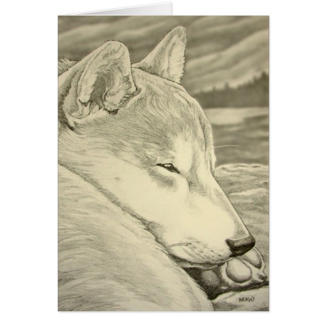 Shiba Inu Dog Art-kaarten Blank Shiba Inu-kaarten (Voorkant)
