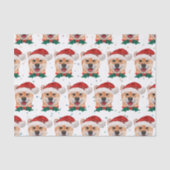 Shiba Inu Dog Breed Christmas Stars Tissuepapier (Voorkant)