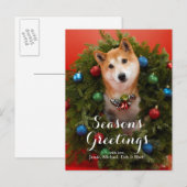 Shiba Inu dog Briefkaart (Voorkant / Achterkant)