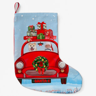 Shiba Inu Dog in auto met kerstman Kleine Kerstsok