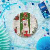 Shiba Inu Dog Kerstmis Papieren Bordje (Feest)
