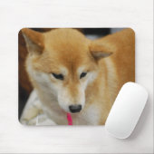 Shiba Inu Dog Muismat (Met muis)