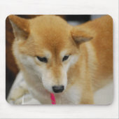 Shiba Inu Dog Muismat (Voorkant)