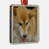 Shiba Inu Dog Ornament (Rechts)