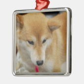 Shiba Inu Dog Ornament (Links)