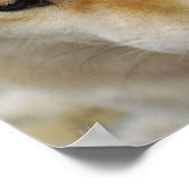 Shiba Inu Dog Poster (Hoek)