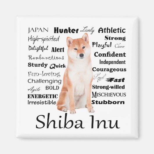 Shiba Inu eigenschappen magneet (Voorkant)