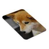 Shiba Inu flexibele magneet (Rechterzijde)