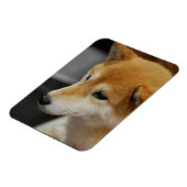 Shiba Inu flexibele magneet (Linkerzijde)