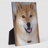 Shiba inu fotoplaat (Zijkant)