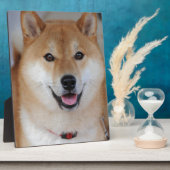 Shiba inu fotoplaat (Zijkant)