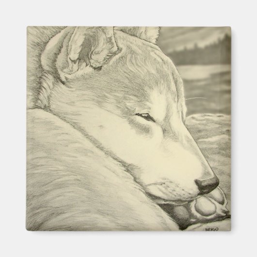 Shiba Inu Fridge Magnet Husky Dog Magnet Gift (Voorkant)