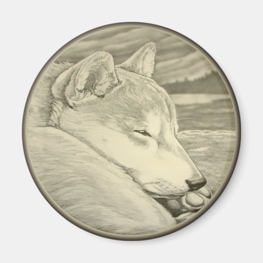 Shiba Inu Fridge Magnet Shiba Inu Dog Magnet Gift (Voorkant)