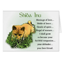 Shiba Inu Gifts