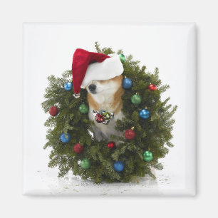 Shiba Inu-hond draagt een kersthoed in Magneet