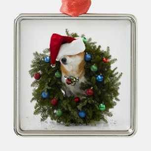 Shiba Inu-hond draagt een kersthoed in Metalen Ornament