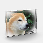 Shiba Inu hond. Fotoblokken (Links)