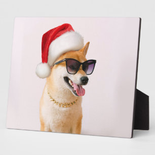 Shiba Inu-hond in de rode petten van Santa Claus Fotoplaat