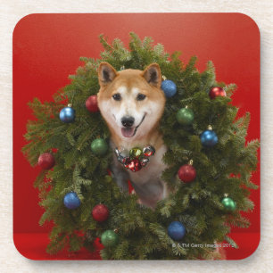 Shiba Inu-hond in kerstmis Drankjes Onderzetter