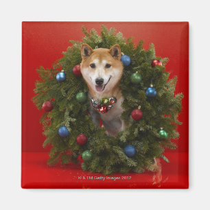 Shiba Inu-hond in kerstmis Magneet
