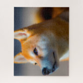 Shiba Inu Hond Legpuzzels. Legpuzzel (Verticaal)