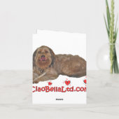 Shiba Inu hond met rood hart Feestdagen Kaart (Achterkant)