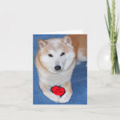  Shiba Inu hond met rood hart Feestdagen Kaart (Voorkant)