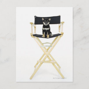 Shiba Inu hond op de stoel van de regisseur Briefkaart