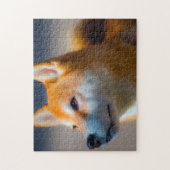 Shiba Inu Hond Puzzels. Legpuzzel (Verticaal)